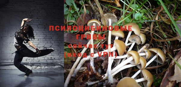 PSILOCYBIN Вязники