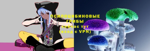 PSILOCYBIN Вязники