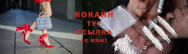 PSILOCYBIN Вязники