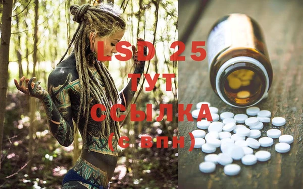 PSILOCYBIN Вязники