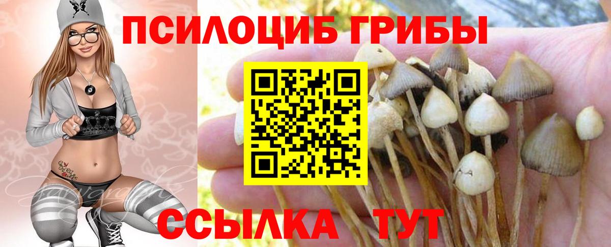 Псилоцибиновые грибы Psilocybine cubensis  Псилоцибиновые грибы GOLDEN TEACHER  Вход с VPN  Геленджик 